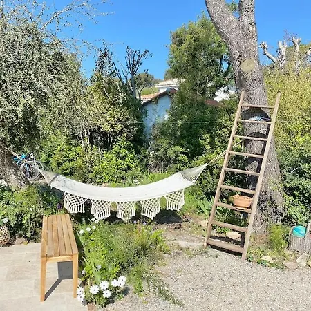 Villa Pierlou Piscine Proche Pour 6/7 Pers *